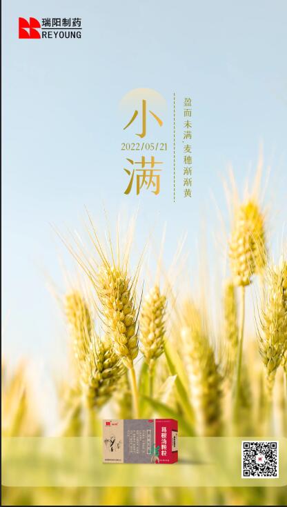 20220521小满