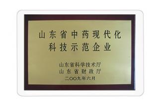 山东省中药科技化现代示范企业